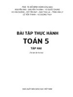 Bài tập thực hành toán 5  tập 2