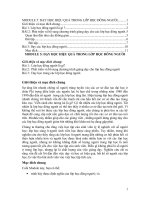 Module 5 Dạy Học Hiệu Quả Trong Lớp Học Đông Người