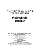 Phật Thuyết A Di Đà Kinh Yếu Giải Giảng Ký