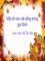 MTXQ dong vat song trong gia dinh 