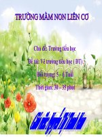 ve truong tieu hoc  nguyen thi thanh nam 