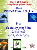 1 so dong vat song duoi nuoc 