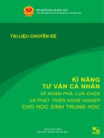 Kĩ Năng Tư Vấn Cá Nhân Về Khám Phá, Lựa Chọn Và Phát Triển Nghề Nghiệp Cho Học Sinh Trung Học