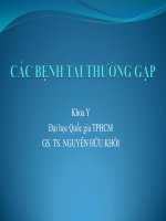 Bài giảng Các bệnh tai thường gặp  GS. TS. Nguyễn Hữu Khôi