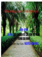 KPKH CAC CON VAT NUOI TRONG GIA DINH 