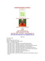 Chánh Niệm Cơ Bản (Thiền Sư Henepola Gunaratana)