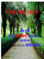 trò chuyện về cac con vat song duoi nuoc