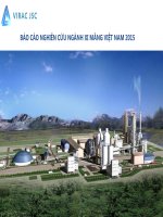Báo Cáo Nghiên Cứu Ngành Xi Măng Việt Nam 2015