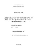 Áp dụng luật kết hợp trong khai phá dữ liệu cho dữ liệu ngân hàng đầu tư và phát triển Việt Nam