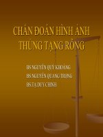 CHẨN ĐOÁN HÌNH ẢNH THỦNG TẠNG RỖNG,BS NGUYỄN QUÝ KHOÁNG,BS NGUYỄN QUANG TRỌNG,BS.TẠ DUY CHINH