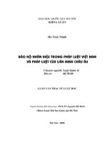 Bảo hộ nhãn hiệu trong pháp luật Việt Nam và pháp luật của Liên minh Châu Âu