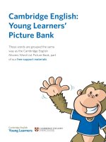 Cambridge english movers (YLE movers) picture bank