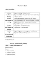 Đề cương chi tiết học phần Kiểm toán căn bản Tiếng anh (Học viện tài chính)