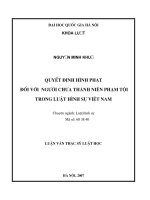 Quyết định hình phạt đối với người chưa thành niên phạm tội trong luật hình sự Việt Nam