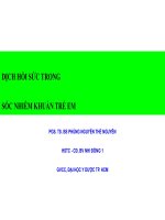 dịch hồi sức trong sốc nhiễm khuẩn trẻ em, PGS  TS  BS PHÙNG NGUYỄN THẾ NGUYÊN 