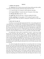Hỗ Trợ Triển Khai Nhân Rộng Hầm Biogas Nhằm Giảm Thiểu Ô Nhiễm Và Cải Thiện Môi Trường Nông Thôn Trên Địa Bàn Tỉnh Giai Đoạn 2013-2015