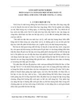 giao thoa khe young lớp 12 skkn