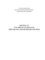 Phương Án Ứng Phó Sự Cố Tràn Dầu Trên Địa Bàn Thành Phố Hồ Chí Minh