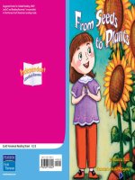 K 3 5 from seeds to plants