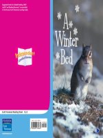 K 2 5 a winter bed (Scott Foresman Reading)