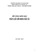 Đề Cương Môn Học Pháp Luật Liên Minh Châu Âu