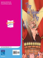 K 1 5 tig the talented pig