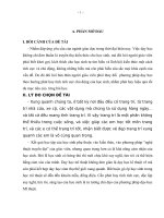 SKKN một vài phương pháp nâng cao hiệu quả giảng dạy phân môn trang trí