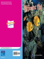 K 2 1 different fish (Scott Foresman Reading)