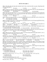 ĐỀ TRẮC NGHIỆM HÓA HỌC ÔN TỔNG HỢP VÀ ĐÁP ÁN 11