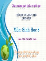 Bài giảng sinh học 8 tham khảo vệ sinh bài tiết nước tiểu (1) 