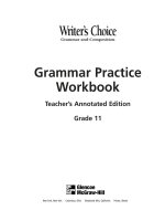 Writers choice (grammar practice workbook) grade 11 TAE