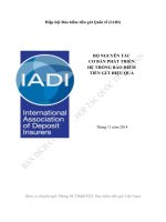 Bộ Nguyên Tắc Cơ Bản Phát Triển Hệ Thống Bảo Hiểm Tiền Gửi Hiệu Quả