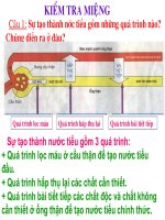 Bài giảng sinh học 8 tham khảo vệ sinh bài tiết nước tiểu (1) 