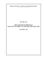 Skkn một số kinh nghiệm dạy tập làm văn miêu tả lớp 5 đạt kết quả tốt 