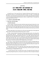 Lý Thuyết Về Hành Vi Của Người Tiêu Dùng