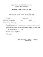 Mẫu đơn xin miễn giảm học phí (Đại học Đồng Tháp)