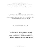 Ảnh hưởng của chế phẩm cá đến sinh trưởng, năng suất và phẩm chất cây chùm ngây, góp phần bổ sung vào danh sách cây trụ sống để trồng tiêu trên đất chư 