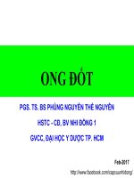 ONG ĐỐT, PGS. TS. BS PHÙNG NGUYỄN THẾ NGUYÊN, HSTC - CĐ, BV NHI ĐỒNG 1, GVCC, ĐẠI HỌC Y DƯỢC TP. HCM