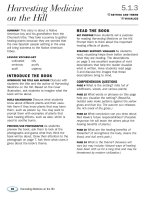 5 1 3 harvesting medicine on the hill TG