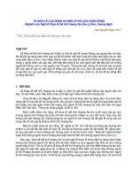 Nghiên cứu Nghi lễ Khao lề thế lính Hoàng Sa, đảo Lý Sơn, Quảng Ngãi