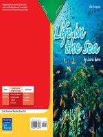5 6 1 life in the sea