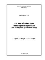 Các hình thức đồng phạm trong luật hình sự Việt Nam (trên cơ sở thực tiễn địa bàn tỉnh Hà Giang).