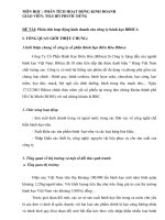 De tai phan tich hoat dong kinh doanh banh keo bibica