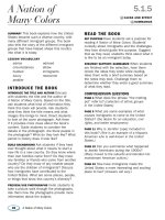 5 1 5 a nation of many colors TG