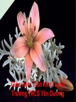 cong dan nuoc CHXHCN viet nam t2