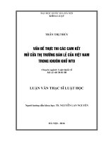 Vấn đề thực thi các cam kết mở cửa thị trường bán lẻ của Việt Nam trong khuôn khổ WTO
