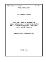 Hiệu quả bổ sung HEBI MAM hoặc bổ sung đa vi chất dinh dưỡng để cải thiện tình trang thiếu máu của phụ nữ có thai