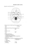 Trac nghiem giai phau 