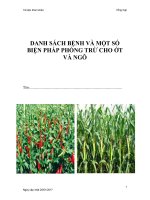 một số biện pháp phòng trừ bệnh cho ớt và ngô