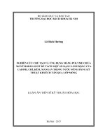Nghiên cứu chế tạo và ứng dụng màng polyme chứa montmorillonit để tách một số dạng linh động của cadimi, chì, kẽm, mangan trong nước sông bằng kỹ thuật khuếch tán qua lớp mỏng